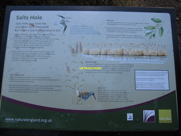 Photo 6"x4" Salts Hole information board Holkham c2010