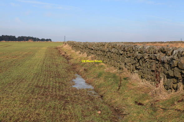 Photo 6"x4" Field Boundary near to Harlaw Malleny Mills c2010