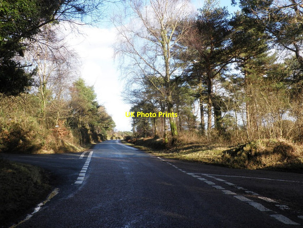 Photo 6"x4" Crossroads, on Little Haldon Luton\/SX9076 c2010