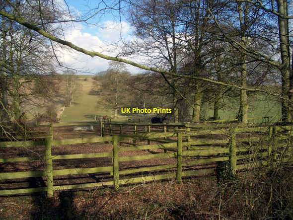 Photo 6"x4" Green Fence Bothampstead c2010