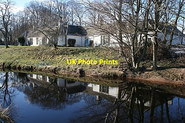 Photo 6"x4" Easter Calcots Darkland c2010