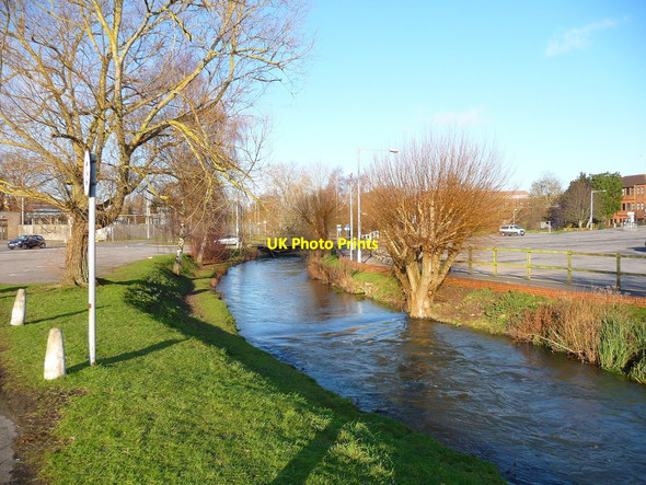 Photo 6"x4" Salisbury - River Avon Salisbury c2010