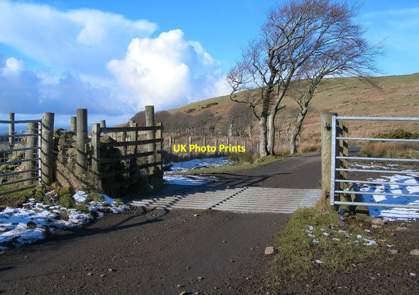 Photo 6"x4" Cattle Grid in Glen Tig Colmonell c2010