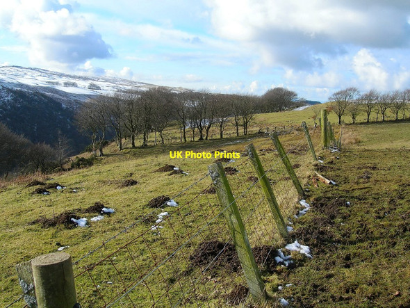 Photo 6"x4" Glen Tig View Colmonell c2010