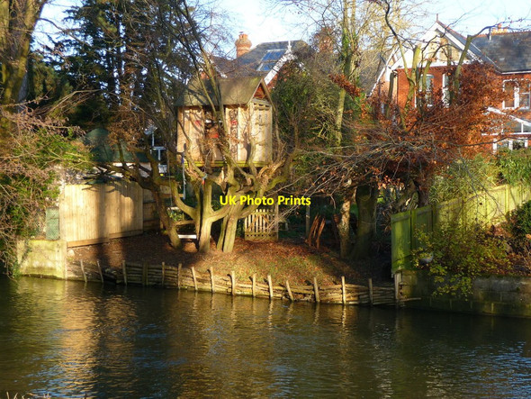 Photo 6"x4" Salisbury -Tree House Salisbury c2010