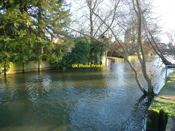Photo 6"x4" Salisbury - River Avon Salisbury c2010