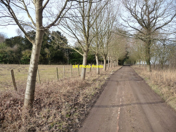 Photo 6"x4" Cholderton - Footpath Cholderton c2010 P1