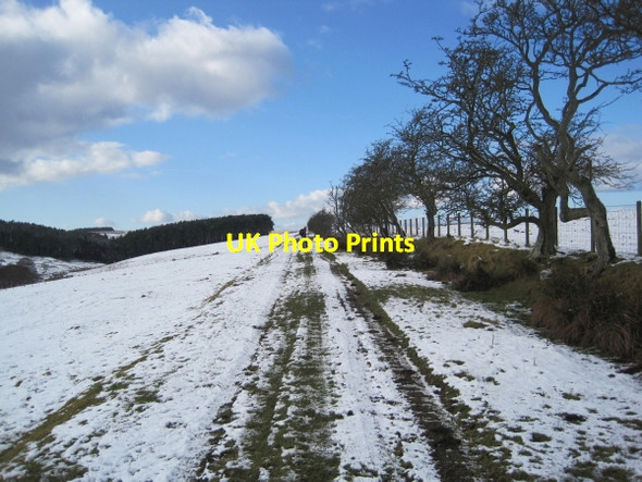 Photo 6"x4" Byway to the Warks Burn Stonehaugh c2010