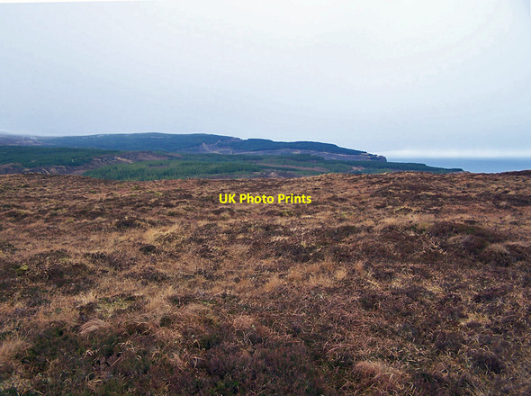 Photo 6"x4" Moorland towards the forest Creagan Dearga\/NG3156 c2010
