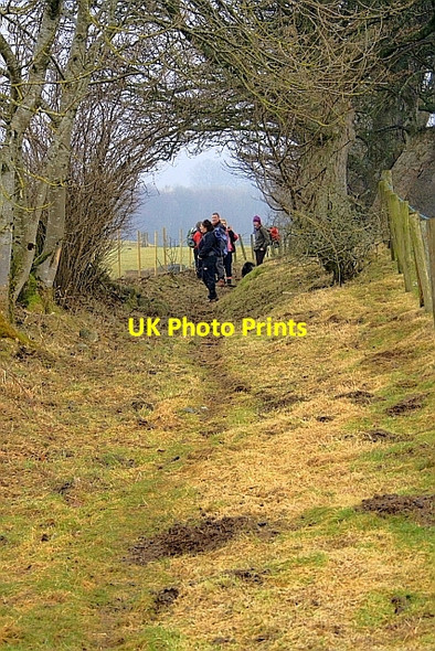 Photo 6"x4" Bridleway Near Mill Moor Pooley Bridge c2010
