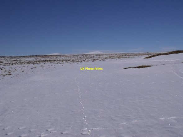 Photo 6"x4" Moorland north of Dalnacardoch Wood Dalnacardoch Wood c2010