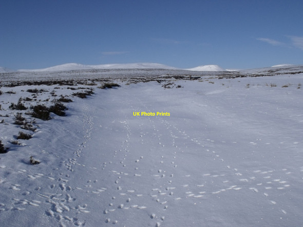 Photo 6"x4" Allt Geallaidh north-west of Carn nan Seabhag Carn nan Seabhag c2010