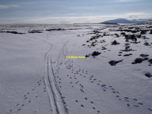 Photo 6"x4" The course of Allt Geallaidh looking south towards Carn nan Seabhag Carn nan Seabhag c2010