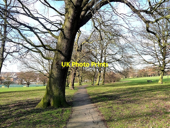 Photo 6"x4" Norwood Park (2) Streatham c2010