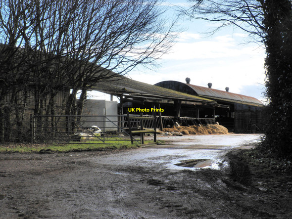 Photo 6"x4" Cattle byre, at Silverton Park Farm Ellerhayes c2010
