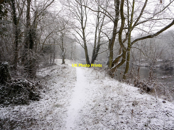 Photo 6"x4" Path along the River Wear Bishop Auckland c2010