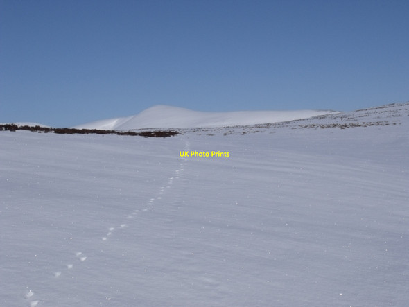 Photo 6"x4" Buried burn course on north-west slopes of Carn a' Mhurraich east of Sronphadruig Lodge Carn a' Mhurraich c2010