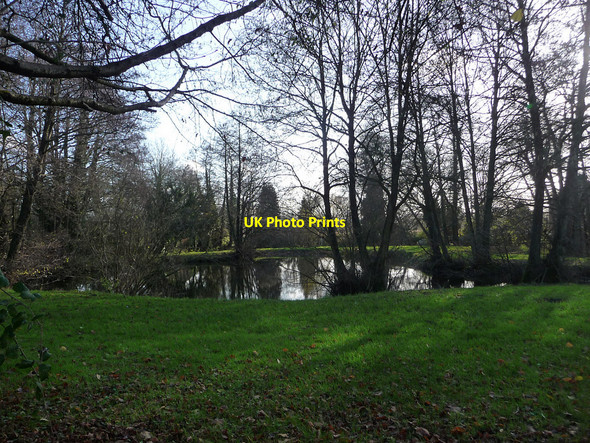 Photo 6"x4" Pond beside Dumpford Lane Dumpford c2009