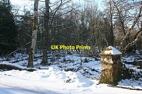 Photo 6"x4" Gatepost at Park Cornhill\/NJ5858 c2010