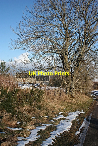 Photo 6"x4" Roadside Verge near Swilebog Glenbarry c2010