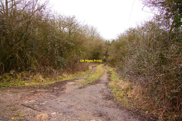 Photo 6"x4" Track to Meadow Barn Ickford c2010
