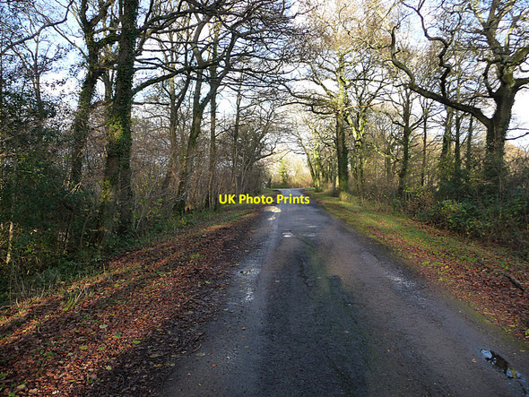 Photo 6"x4" Lane from Elsted Marsh to Treyford Dumpford c2009 P1