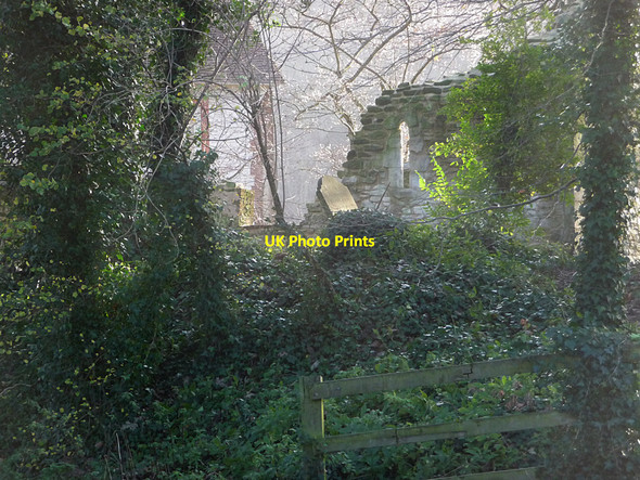 Photo 6"x4" Remains of Treyford old church Treyford c2009