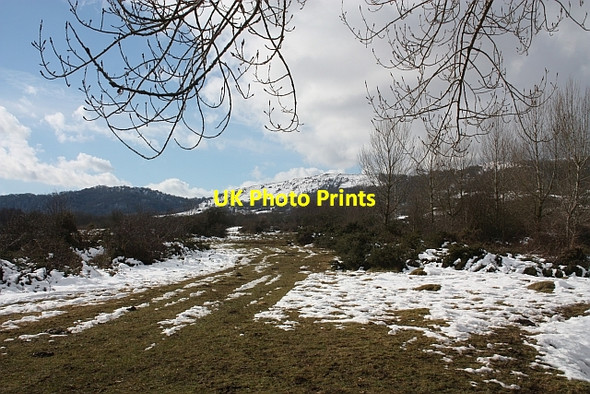 Photo 6"x4" Castlemorton Common Marl Bank c2010
