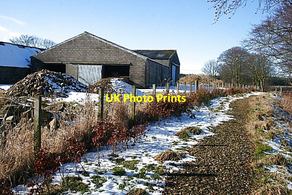 Photo 6"x4" Path at Knowiemoor Brodiesord c2010