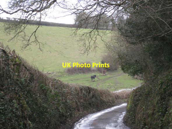 Photo 6"x4" Fields by Perry Lane Mile End\/SX8372 c2010