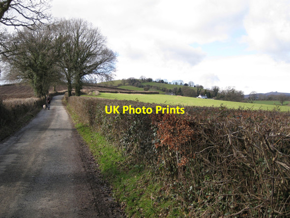 Photo 6"x4" Lane to Ashill from Perry Cross Mile End\/SX8372 c2010