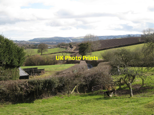 Photo 6"x4" Lane to Perry Cross Mile End\/SX8372 c2010