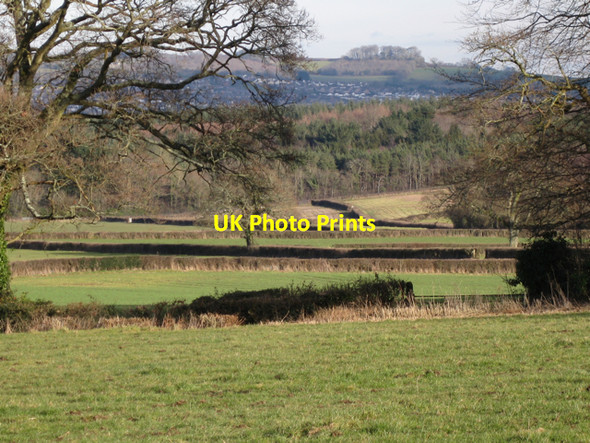 Photo 6"x4" Hedges and fields below Ashill Mile End\/SX8372 c2010