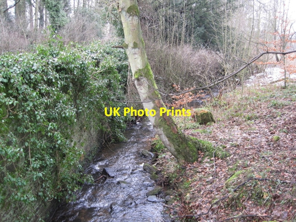Photo 6"x4" Langley Burn, Langley Langley\/NY8261 c2010 P1