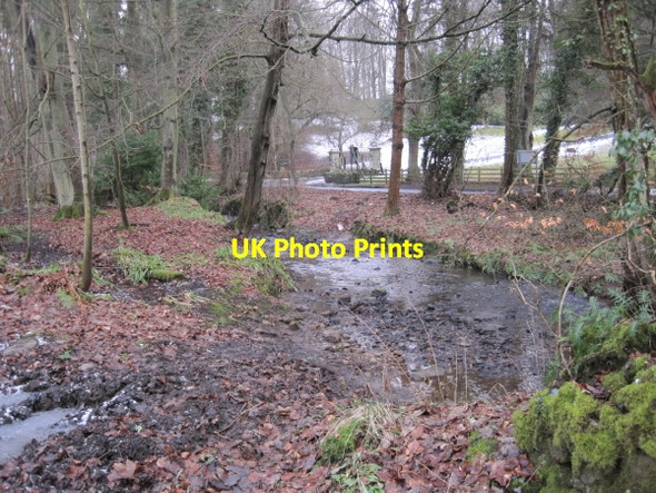 Photo 6"x4" Langley Burn, Langley Langley\/NY8261 c2010 P2