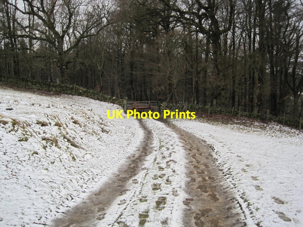 Photo 6"x4" Byway to Langley Castle Langley\/NY8261 c2010
