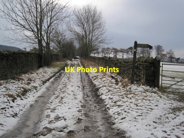 Photo 6"x4" Byway to Langley Castle Haydon Bridge c2010