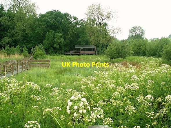 Photo 6"x4" Aldouran Wetland and bird hide Leswalt c2008