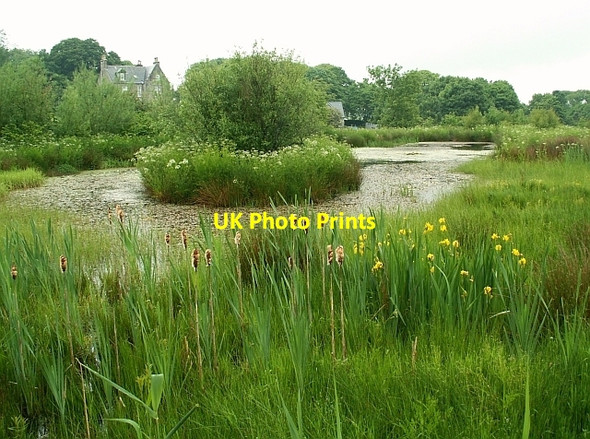 Photo 6"x4" Pond at the Aldouran Wetland Garden Leswalt c2008