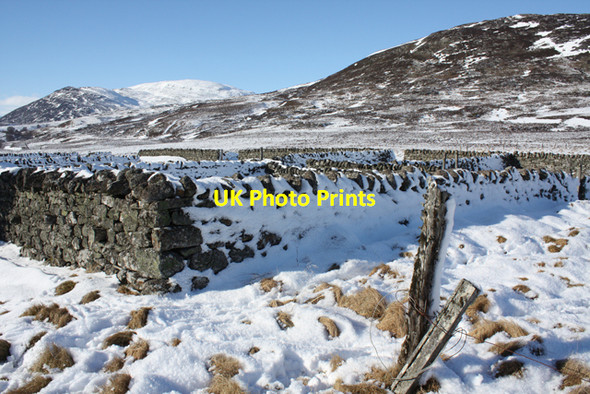 Photo 6"x4" Sheep fank west of Creag Bheag Kingussie c2010