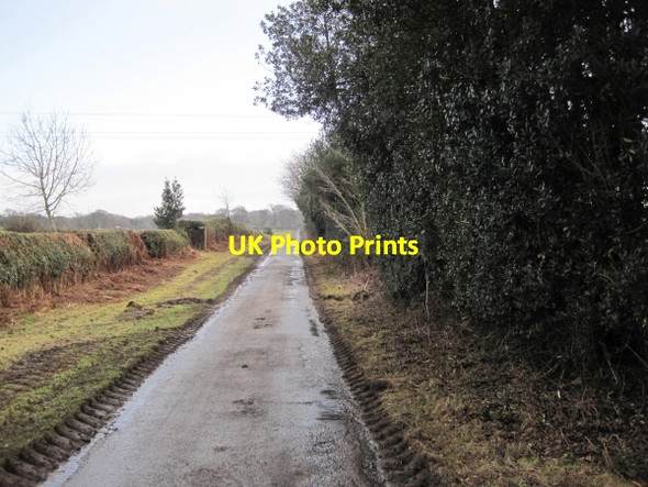 Photo 6"x4" Road to Threepwood Haydon Bridge c2010