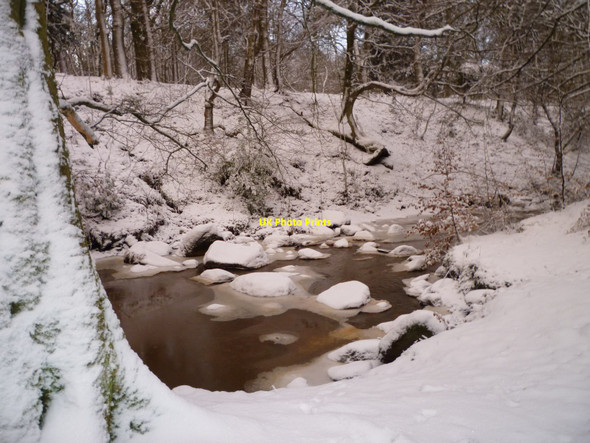 Photo 6"x4" River Almond Whitburn\/NS9464 c2009