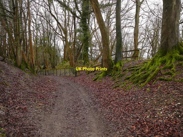Photo 6"x4" Ancient sunken track between Ladle Hill and Watership Down Sydmonton c2010