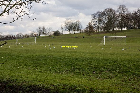 Photo 6"x4" Oak Hill Park East Barnet c2010