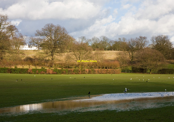 Photo 6"x4" Oak Hill Park East Barnet c2010