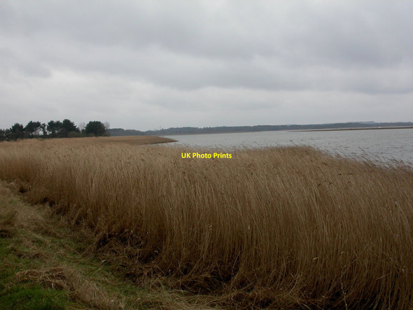 Photo 6"x4" Turlin Moor, Lytchett Bay Turlin Moor c2010