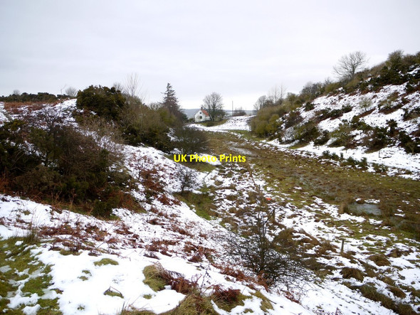 Photo 6"x4" Marsh south of Waud House Wooler c2010