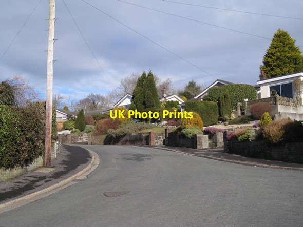 Photo 6"x4" Gaze Hill, Highweek Newton Abbot c2010