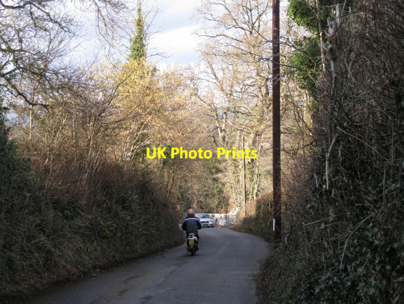 Photo 6"x4" Ringslade Road south of Ringslade House Newton Abbot c2010