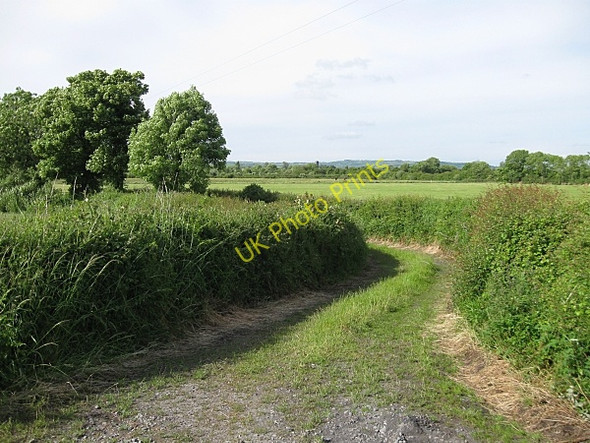 Photo 6"x4" Country Laneway Bennettsbridge c2009